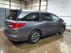 2024 Honda Odyssey EXL