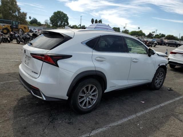 2019 Lexus NX 300H