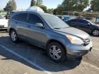 2010 Honda CR-V EXL