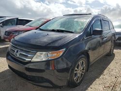 2012 Honda Odyssey EXL en venta en Riverview, FL