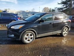 Ford salvage cars for sale: 2016 Ford Escape SE