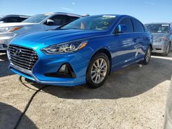 Salvage cars for sale at Arcadia, FL auction: 2018 Hyundai Sonata SE