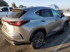 2023 Lexus NX 250