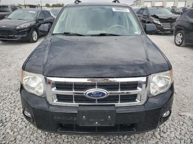 2010 Ford Escape XLT