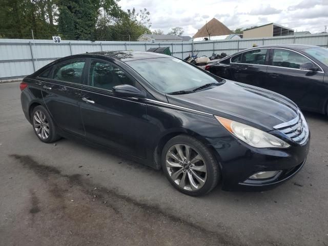 2011 Hyundai Sonata SE