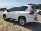 2012 Lexus GX 460