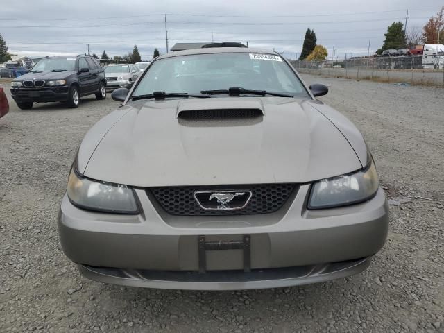 2001 Ford Mustang GT