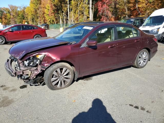 2011 Honda Accord EX