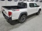 2019 Toyota Tacoma Double Cab