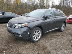 Salvage cars for sale at Cookstown, ON auction: 2011 Lexus RX 350