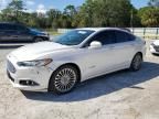 2013 Ford Fusion Titanium HEV