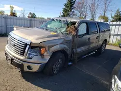 Vehiculos salvage en venta de Copart Ontario Auction, ON: 2011 Ford F150 Supercrew