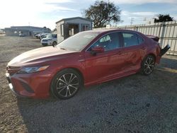 Toyota Camry se salvage cars for sale: 2020 Toyota Camry SE