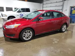 Salvage cars for sale at Blaine, MN auction: 2016 Ford Focus SE