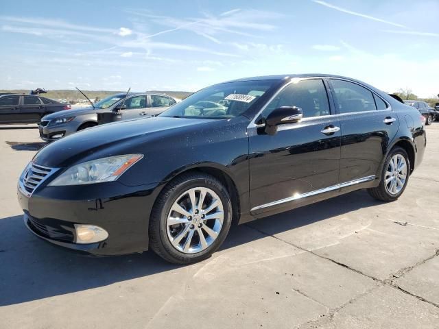 2010 Lexus ES 350