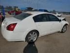 2005 Nissan Maxima SE