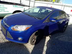 2013 Ford Focus SE en venta en Walton, KY