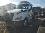 2025 Freightliner Cascadia 126