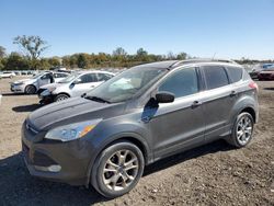 Salvage cars for sale at Des Moines, IA auction: 2016 Ford Escape SE