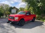 2013 Ford F150