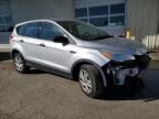 2013 Ford Escape S