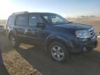 2010 Honda Pilot EXL