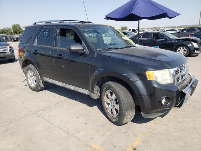 2011 Ford Escape Limited