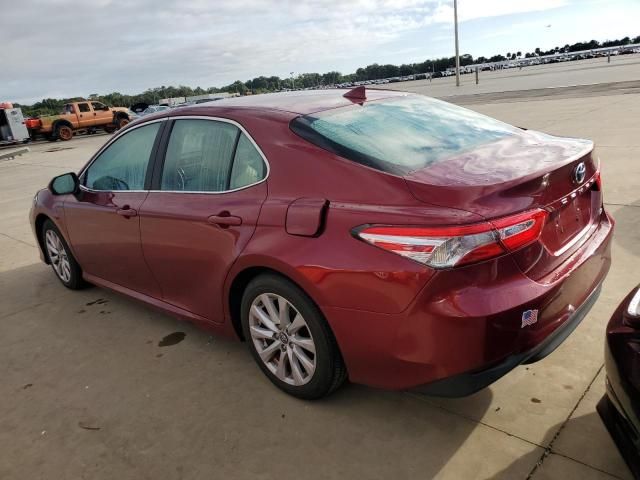 2019 Toyota Camry L