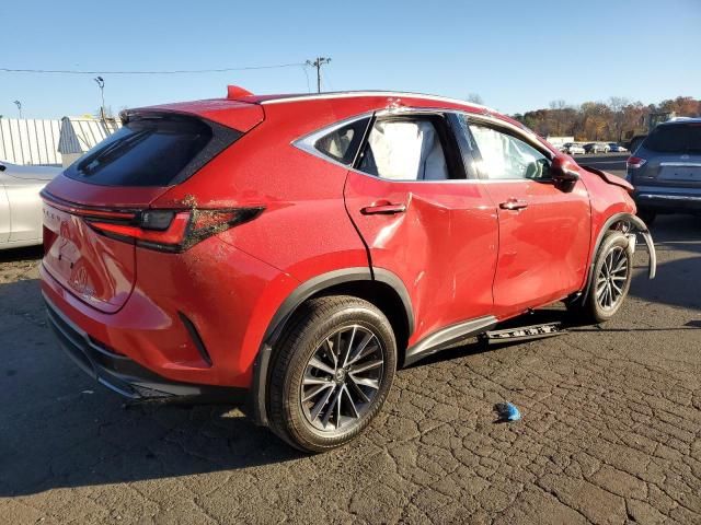 2024 Lexus NX 350 Base