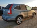 2010 Honda CR-V EXL