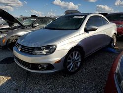 Salvage cars for sale from Copart Arcadia, FL: 2014 Volkswagen EOS Komfort