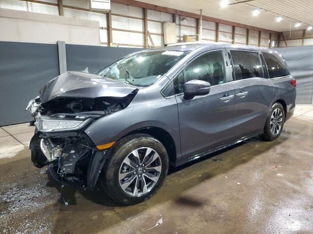 2024 Honda Odyssey EXL