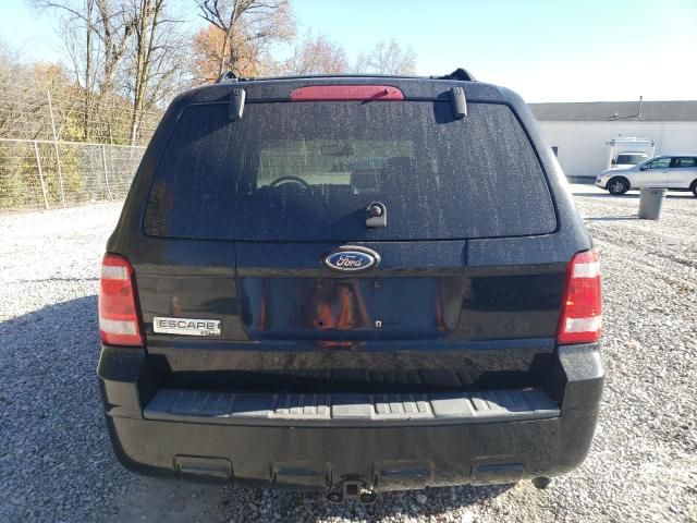 2010 Ford Escape XLT