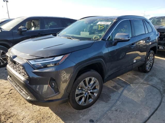 2024 Toyota Rav4 XLE Premium