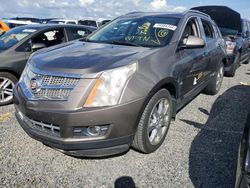 Salvage cars for sale at Riverview, FL auction: 2011 Cadillac SRX Performance Collection