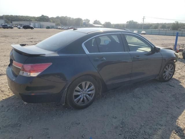 2011 Honda Accord EXL