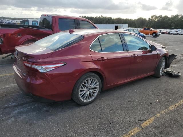 2019 Toyota Camry Hybrid