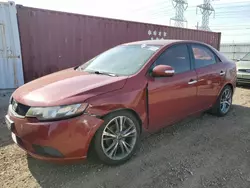 Salvage cars for sale at Elgin, IL auction: 2010 KIA Forte EX