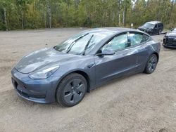 Tesla Model 3 salvage cars for sale: 2023 Tesla Model 3