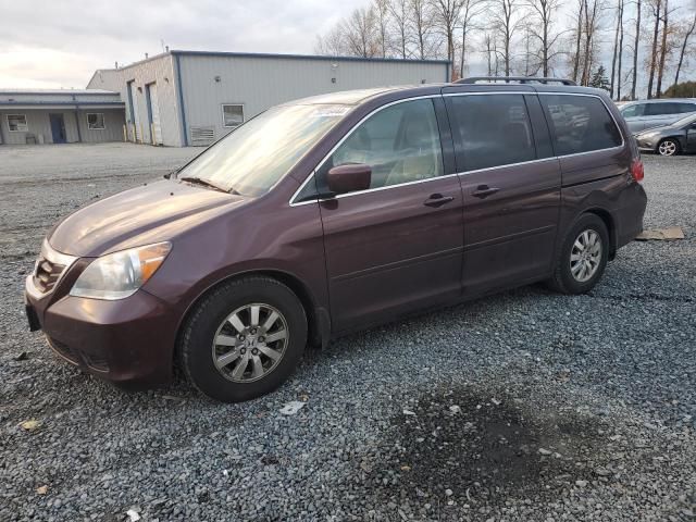 2009 Honda Odyssey EXL