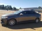 2016 Ford Fusion SE Phev