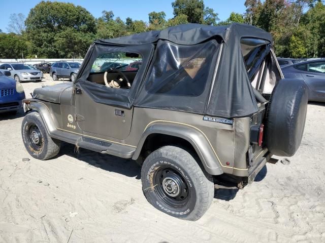 1990 Jeep Wrangler / YJ Sahara