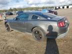 2010 Ford Mustang