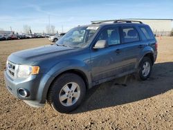 Salvage cars for sale at Rocky View County, AB auction: 2012 Ford Escape XLT