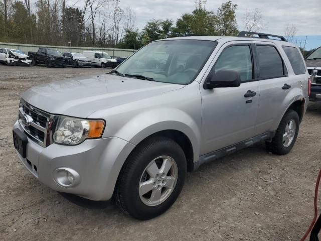 2010 Ford Escape XLT