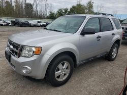 Salvage cars for sale at Leroy, NY auction: 2010 Ford Escape XLT