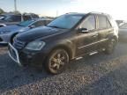 2008 Mercedes-Benz ML 350