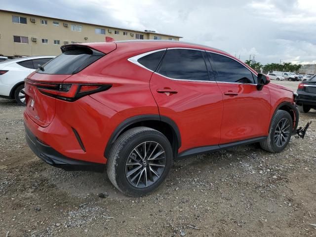 2024 Lexus NX 250 Base