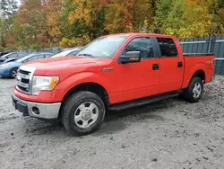 Salvage trucks for sale at Candia, NH auction: 2013 Ford F150 Supercrew