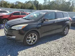 Salvage cars for sale at Augusta, GA auction: 2013 Ford Escape SEL